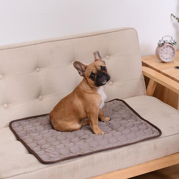 Tapis rafraîchissant pour chien