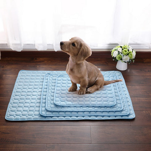 Tapis rafraîchissant pour chien