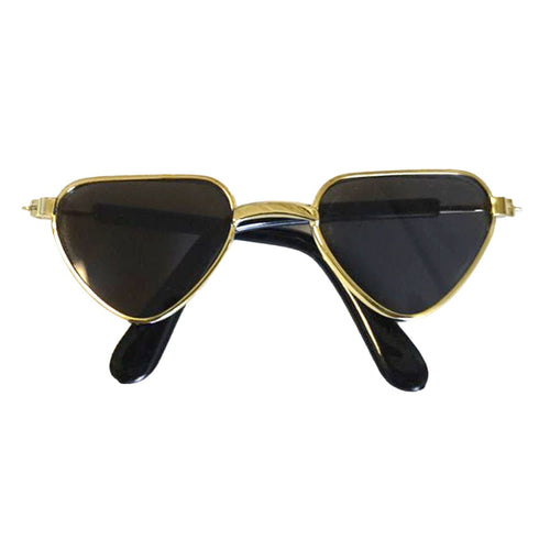 Lunettes de couleur pour chien