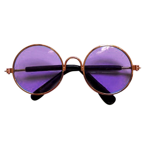 Lunettes de couleur pour chien